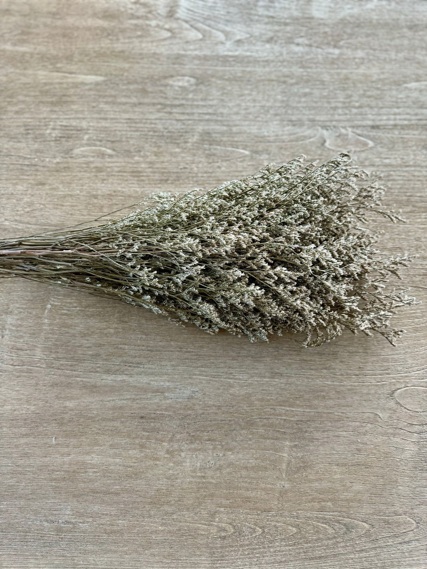 Dried Natural Limonium Bundle