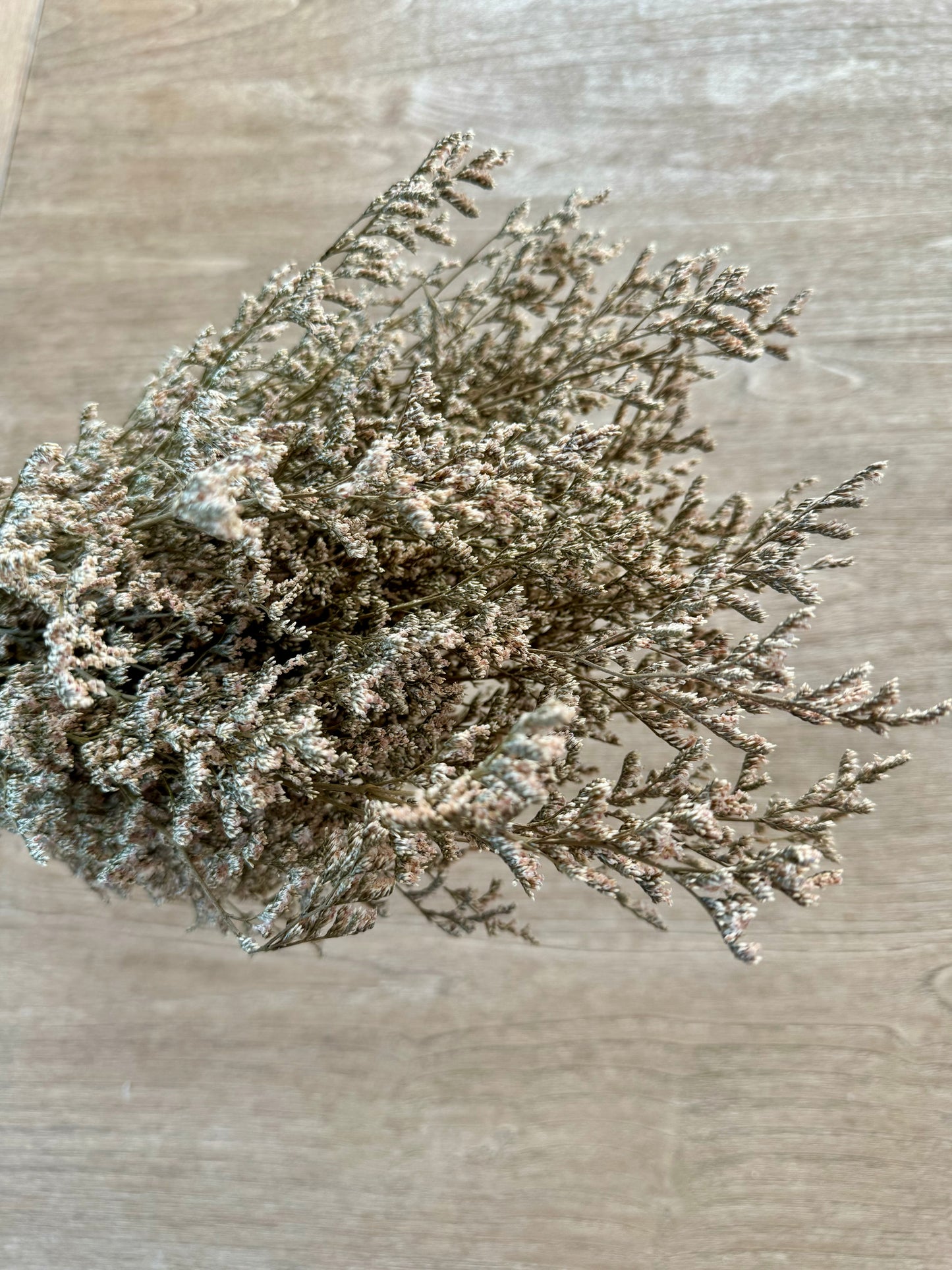 Dried Natural Limonium Bundle