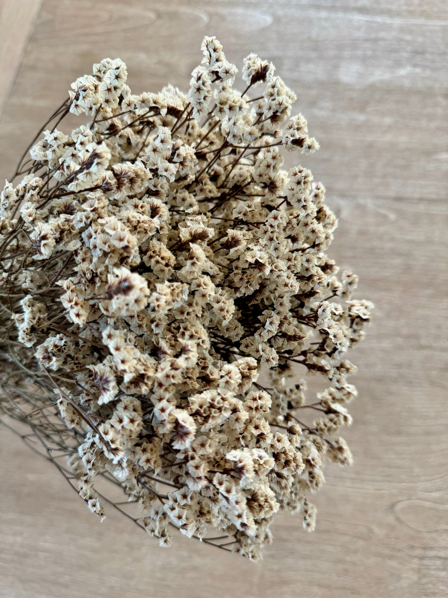 Dried Crystal Grass Bundle