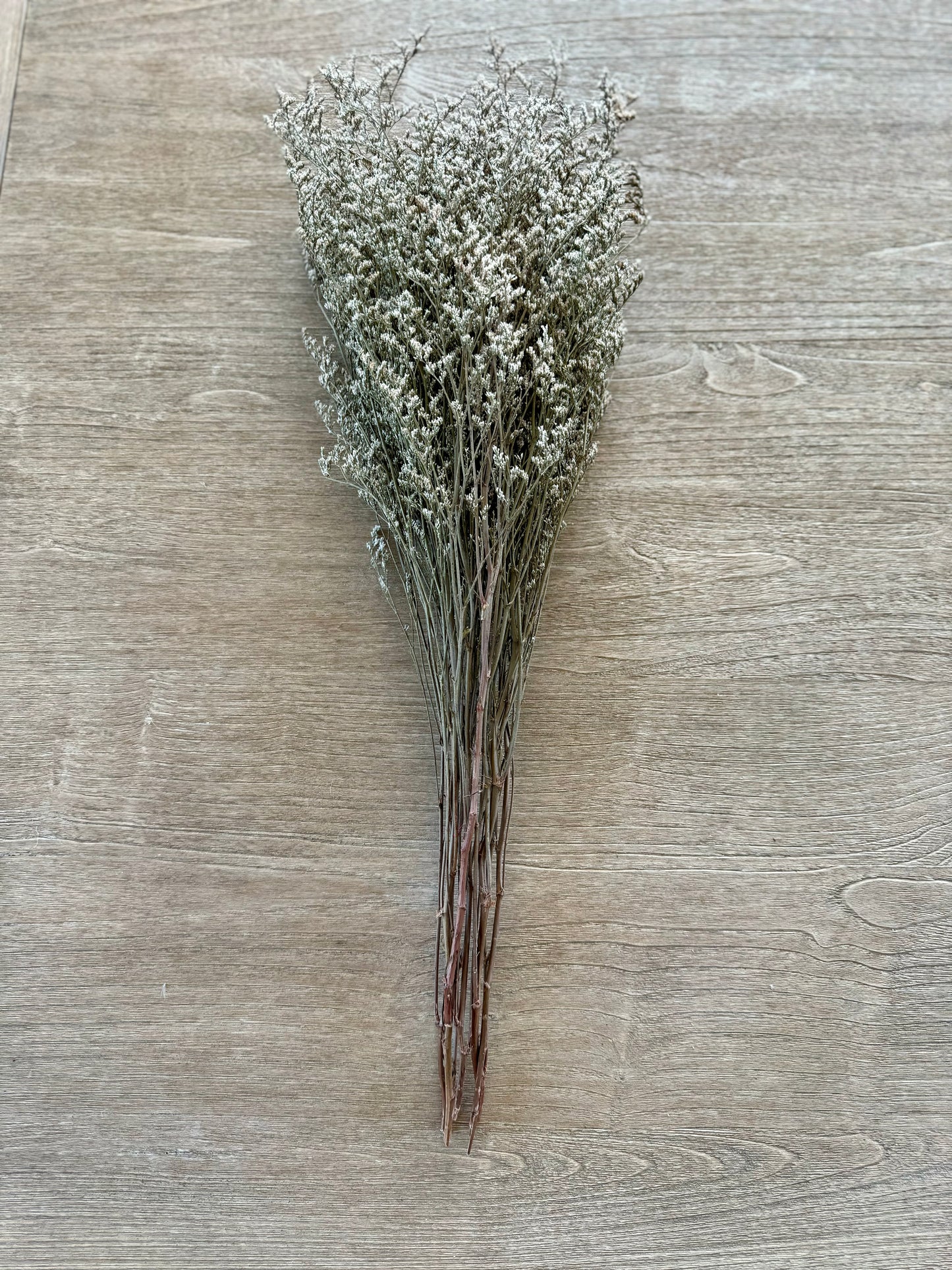 Dried Natural Limonium Bundle