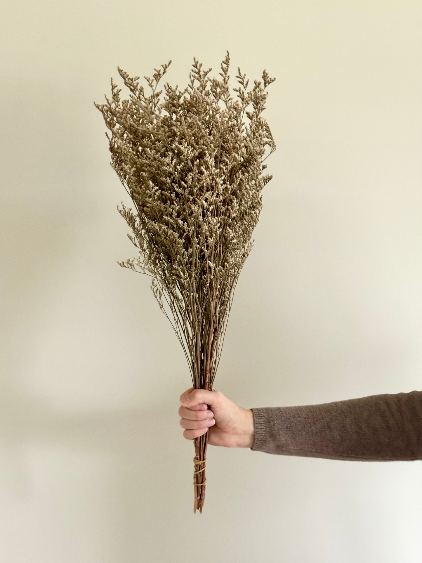 Dried Natural Limonium Bundle